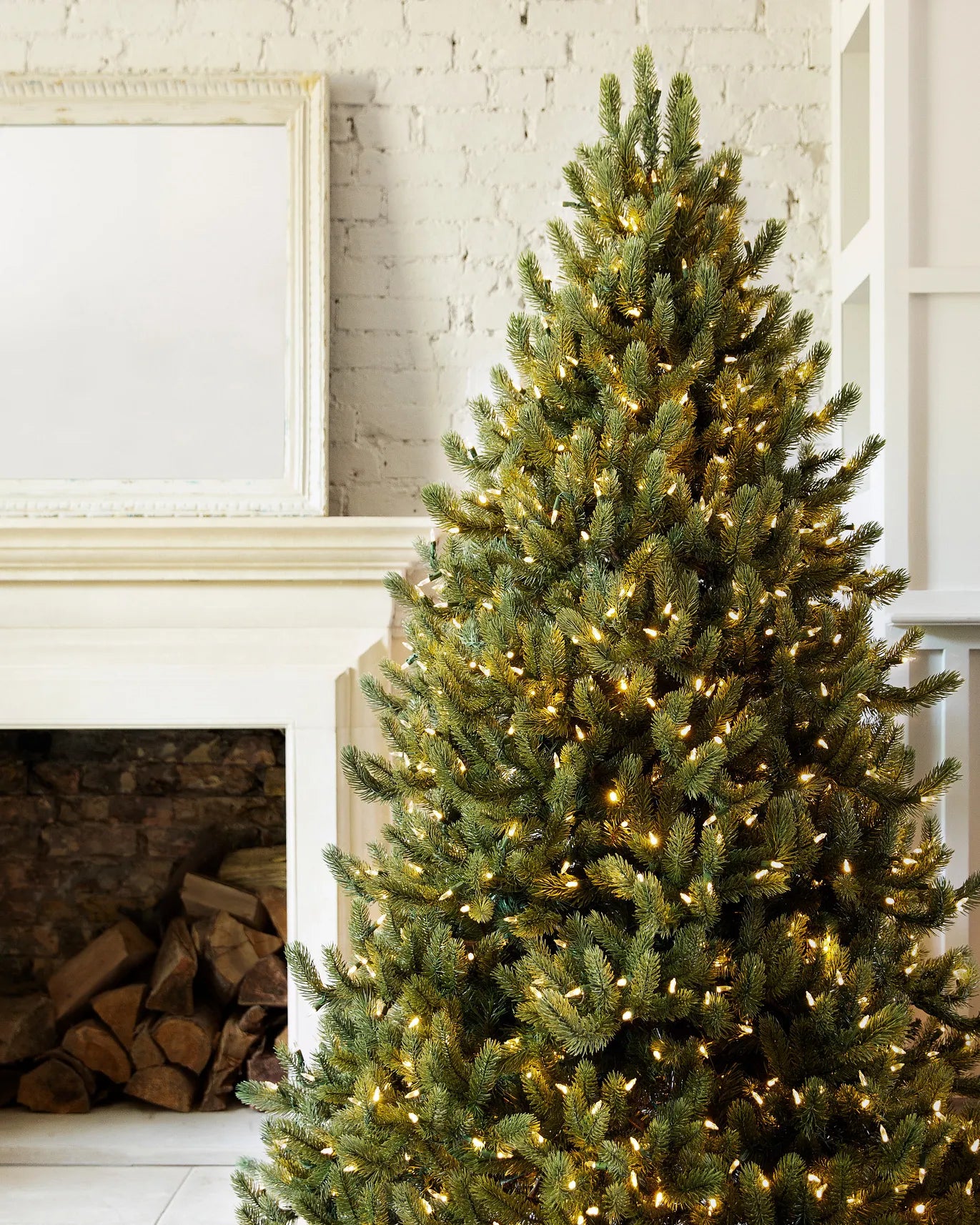 Vermont White Spruce Trees 7.5ft