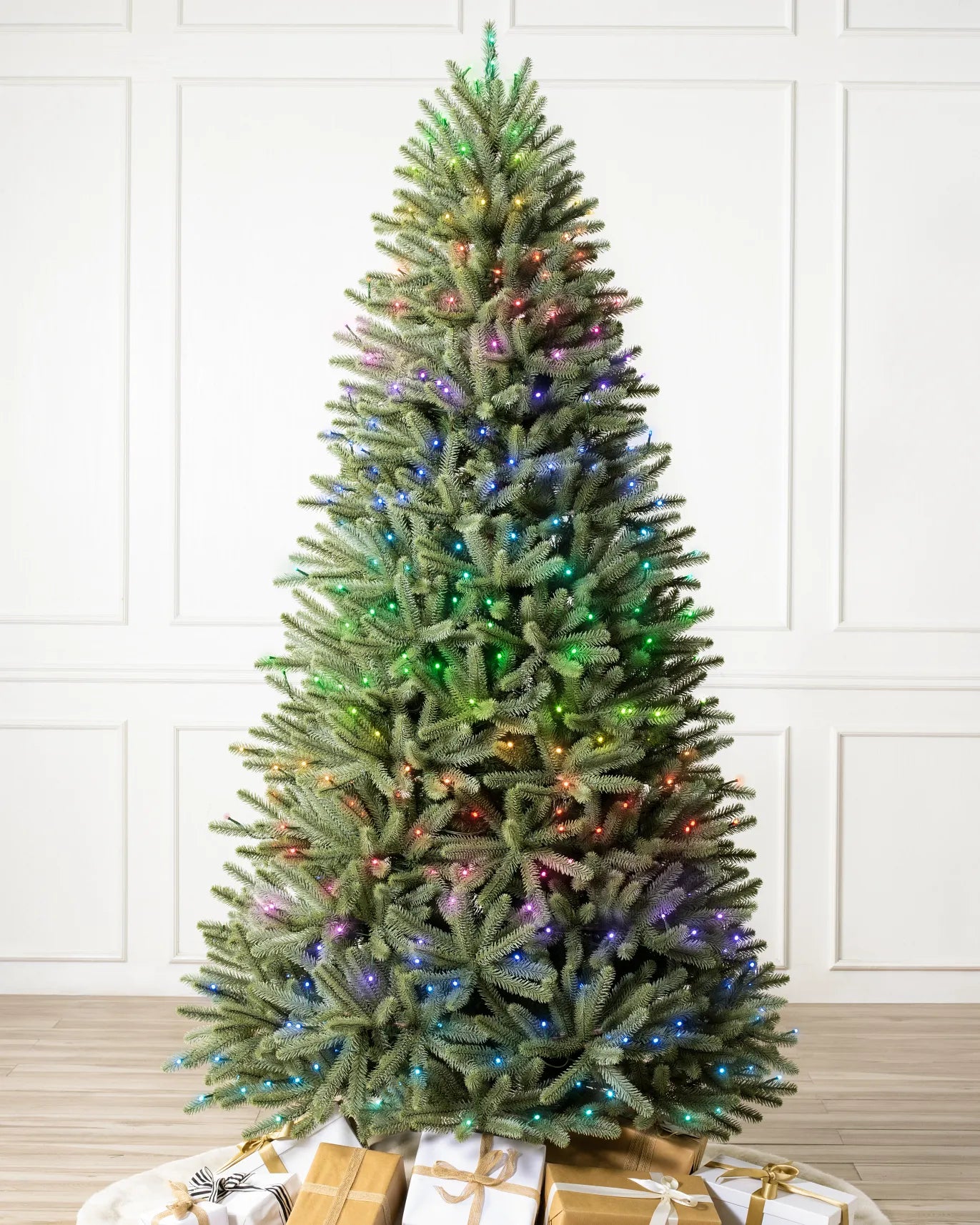 Royal Blue Spruce Tree 8ft