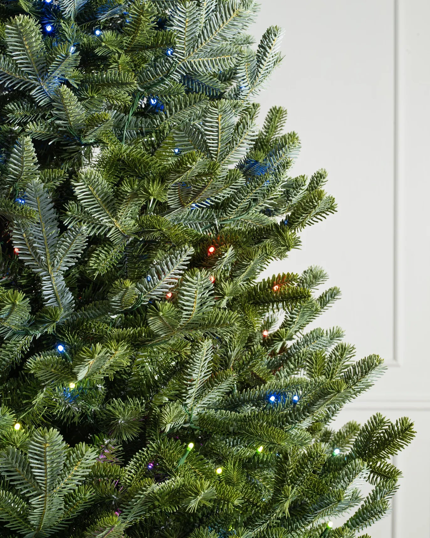 Christmas Fraser Fir Tree 9ft