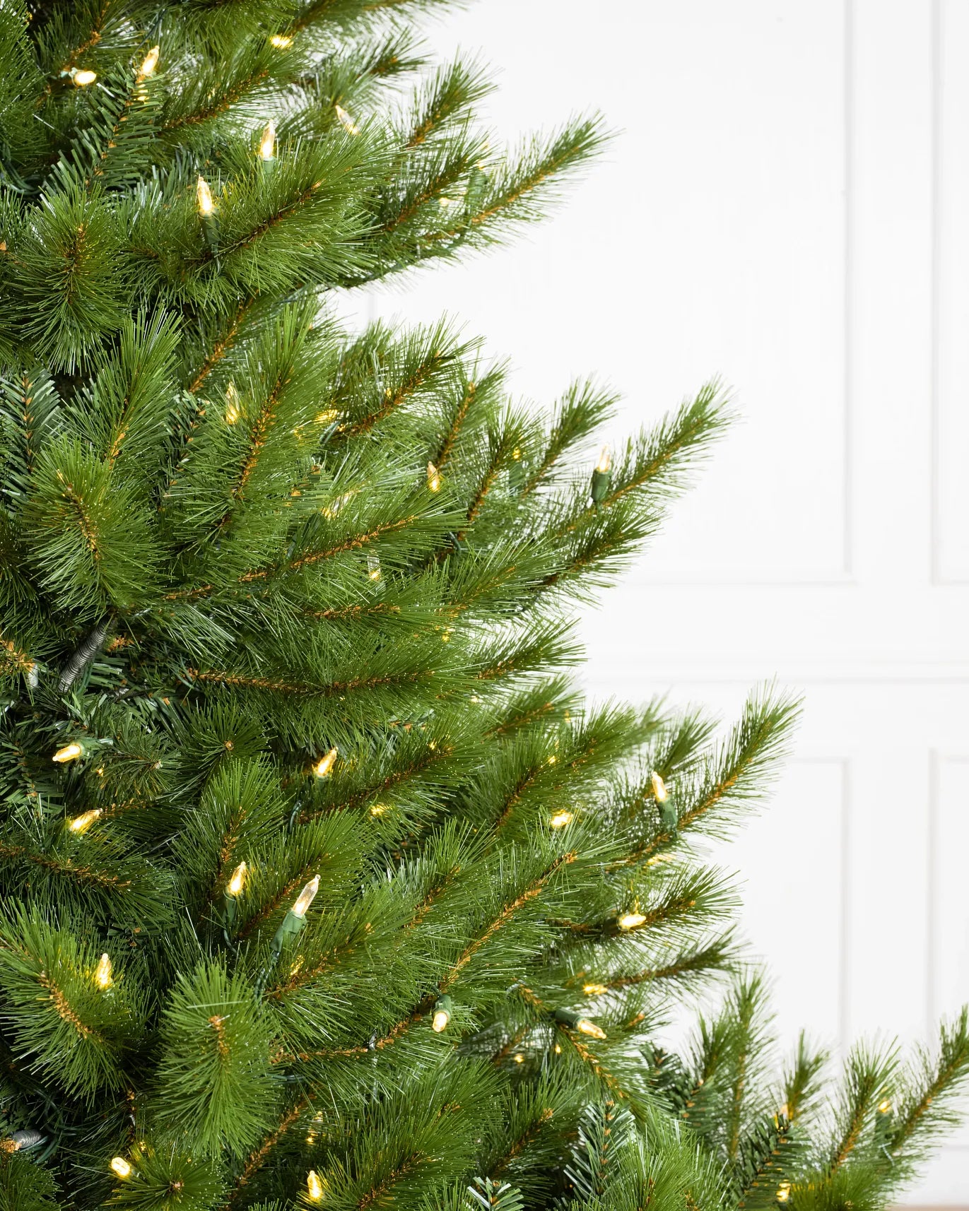 Classic Nordmann Fir Tree 8ft