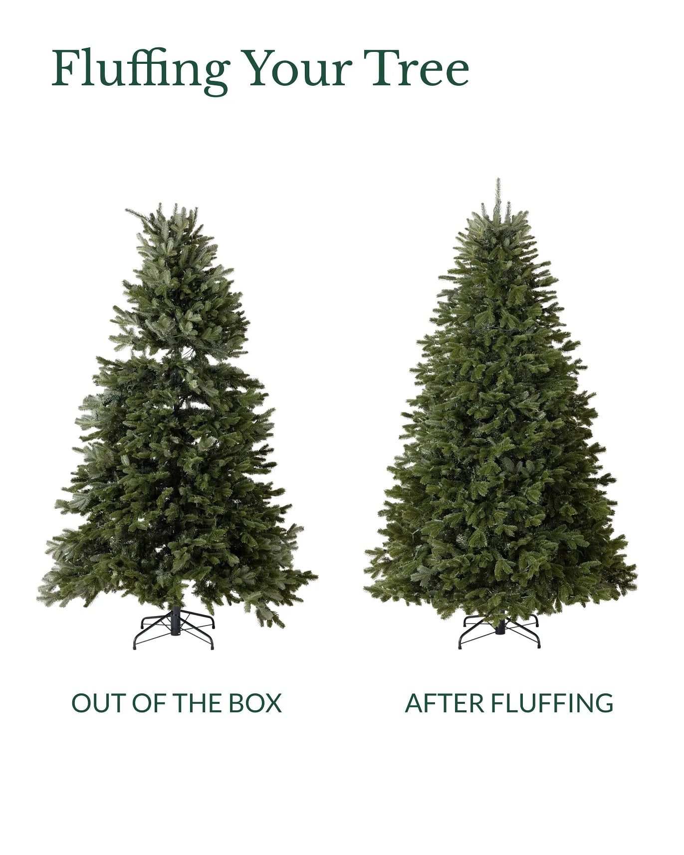 Christmas Fraser Fir Tree 9ft