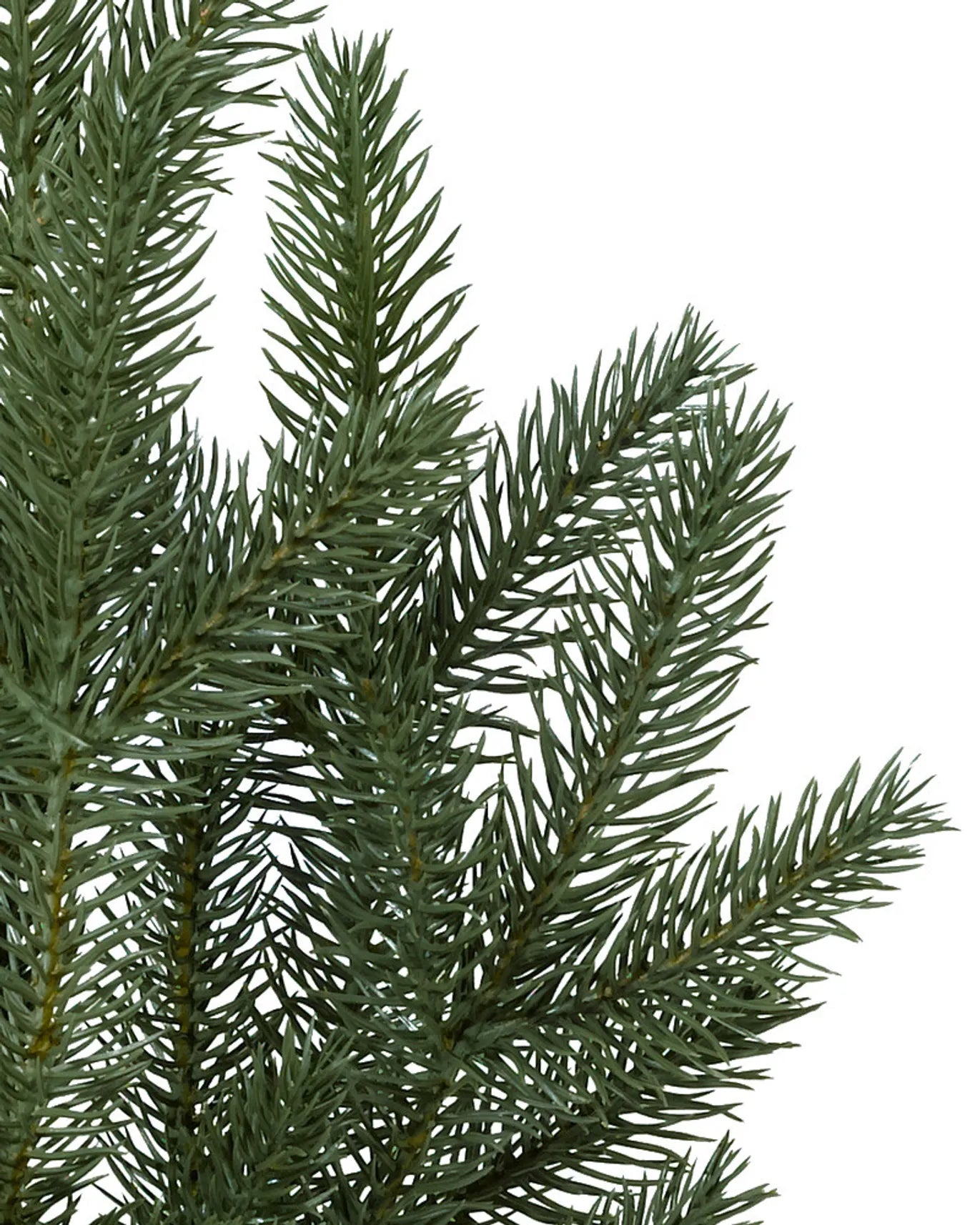 Silverado Slim Tree 9ft