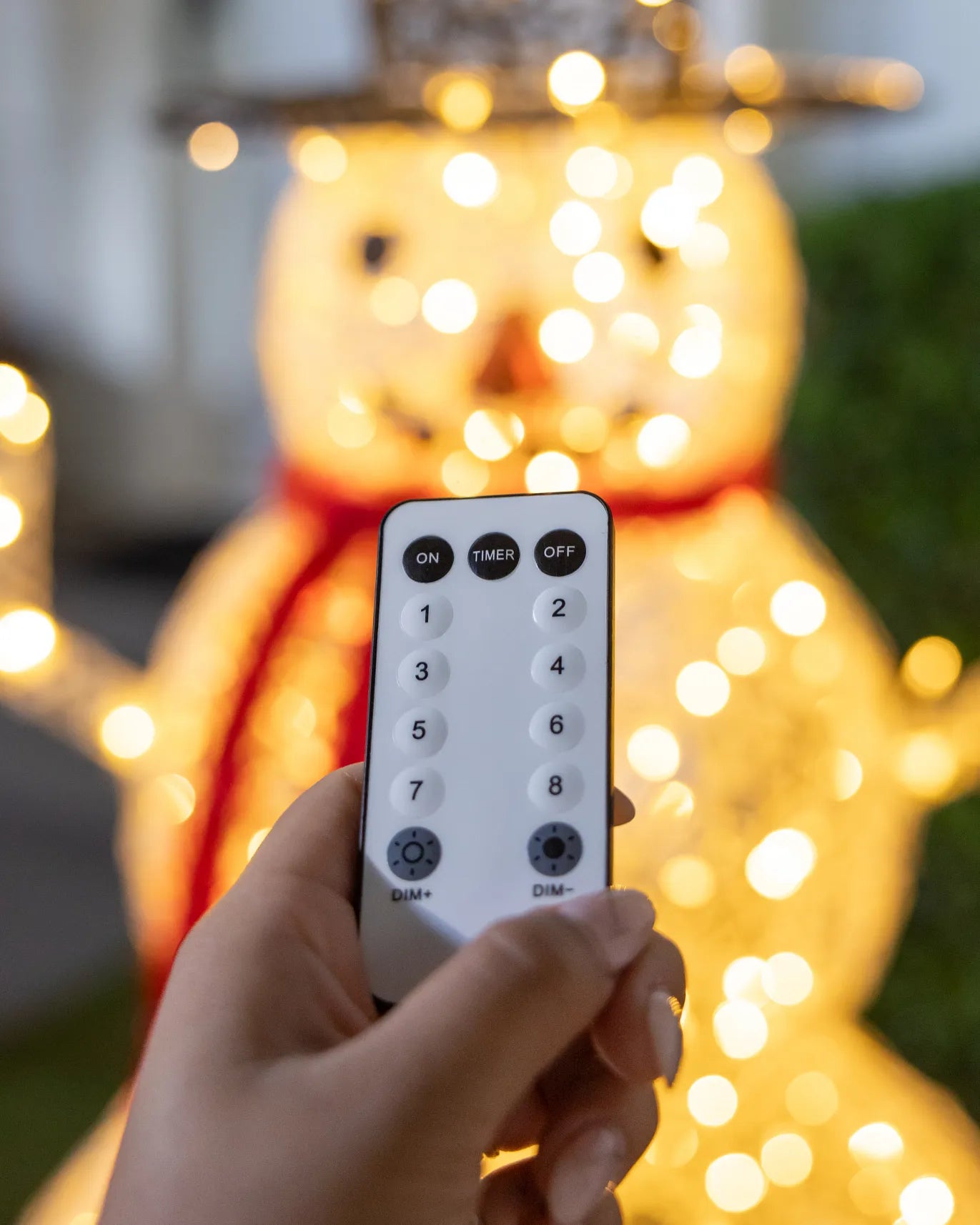 Outdoor Lit LED Wintry Wonder Friends