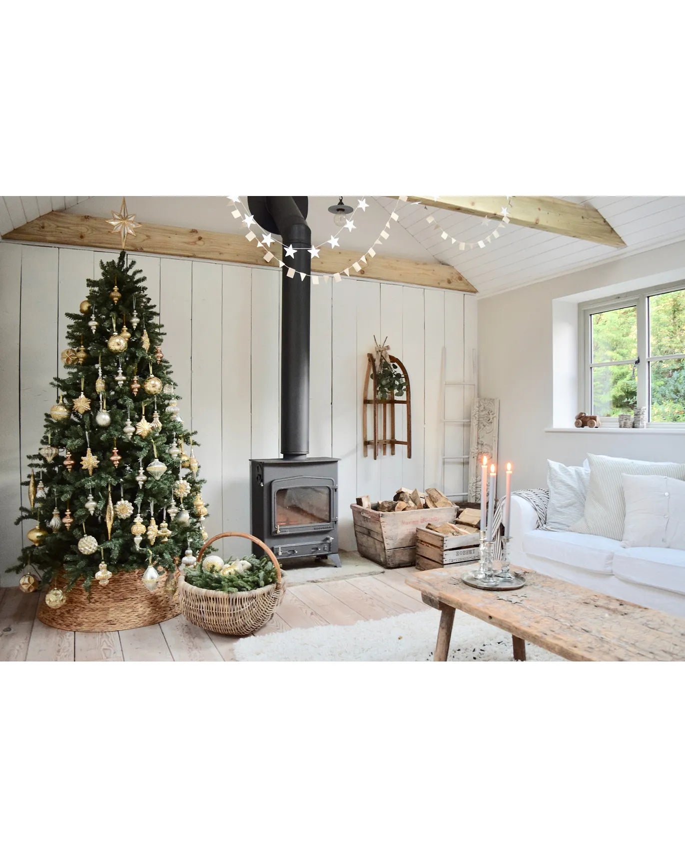 Canadian Blue Green Spruce Tree 12ft