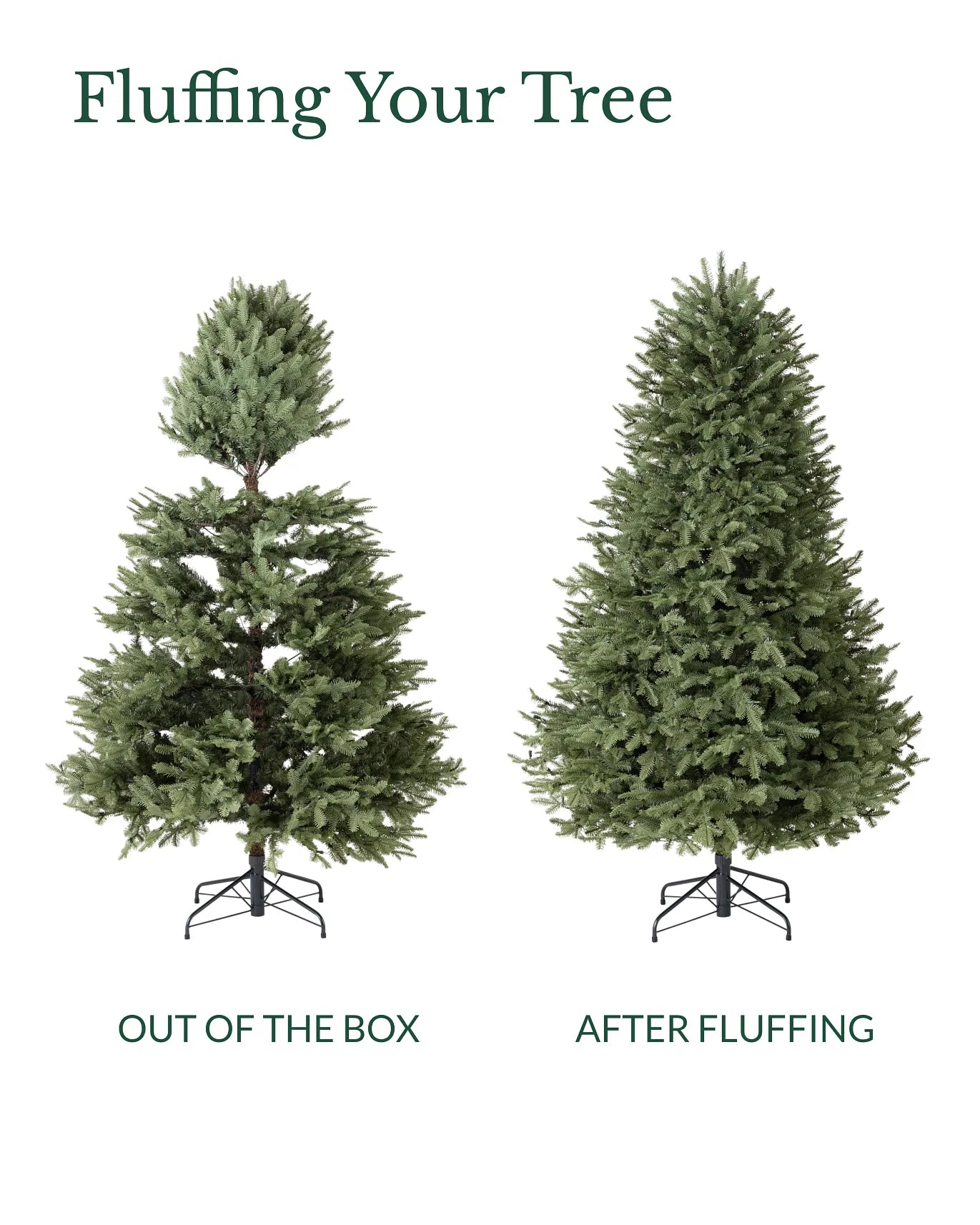 My Furniture Store Balsam Fir Tree 9ft | Direct Furnish