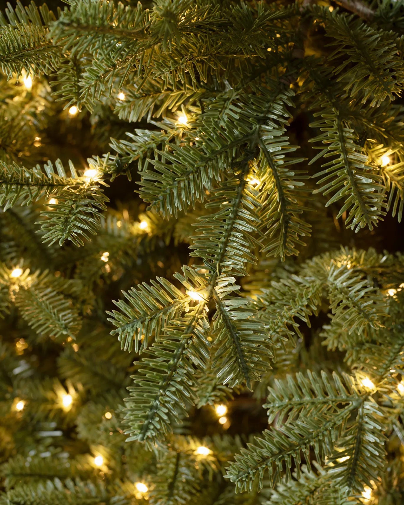 My Furniture Store Balsam Fir Tree 9ft | Direct Furnish