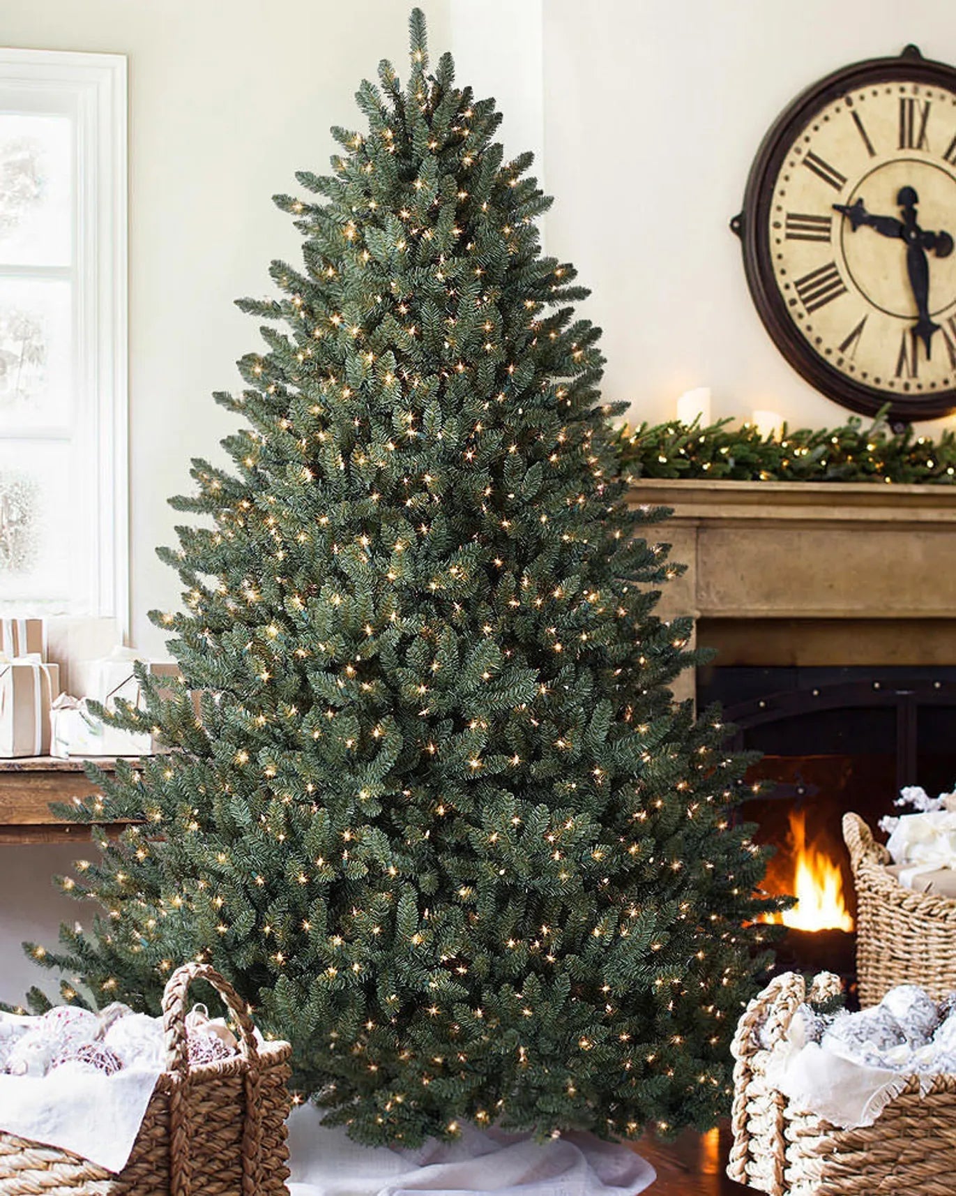 My Furniture Store Canadian Blue Green Spruce Tree 12ft | Direct Furnish