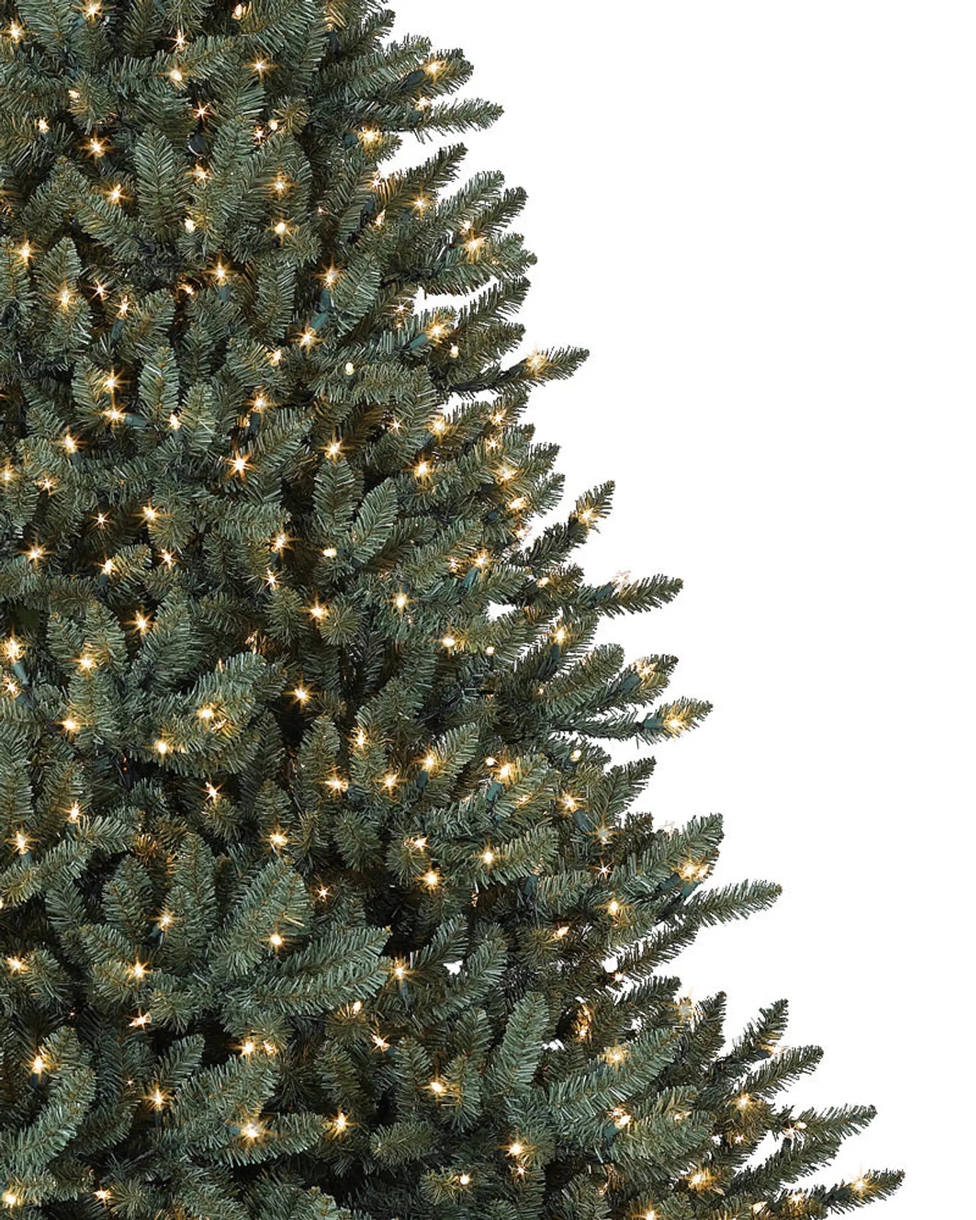My Furniture Store Canadian Blue Green Spruce Tree 12ft | Direct Furnish