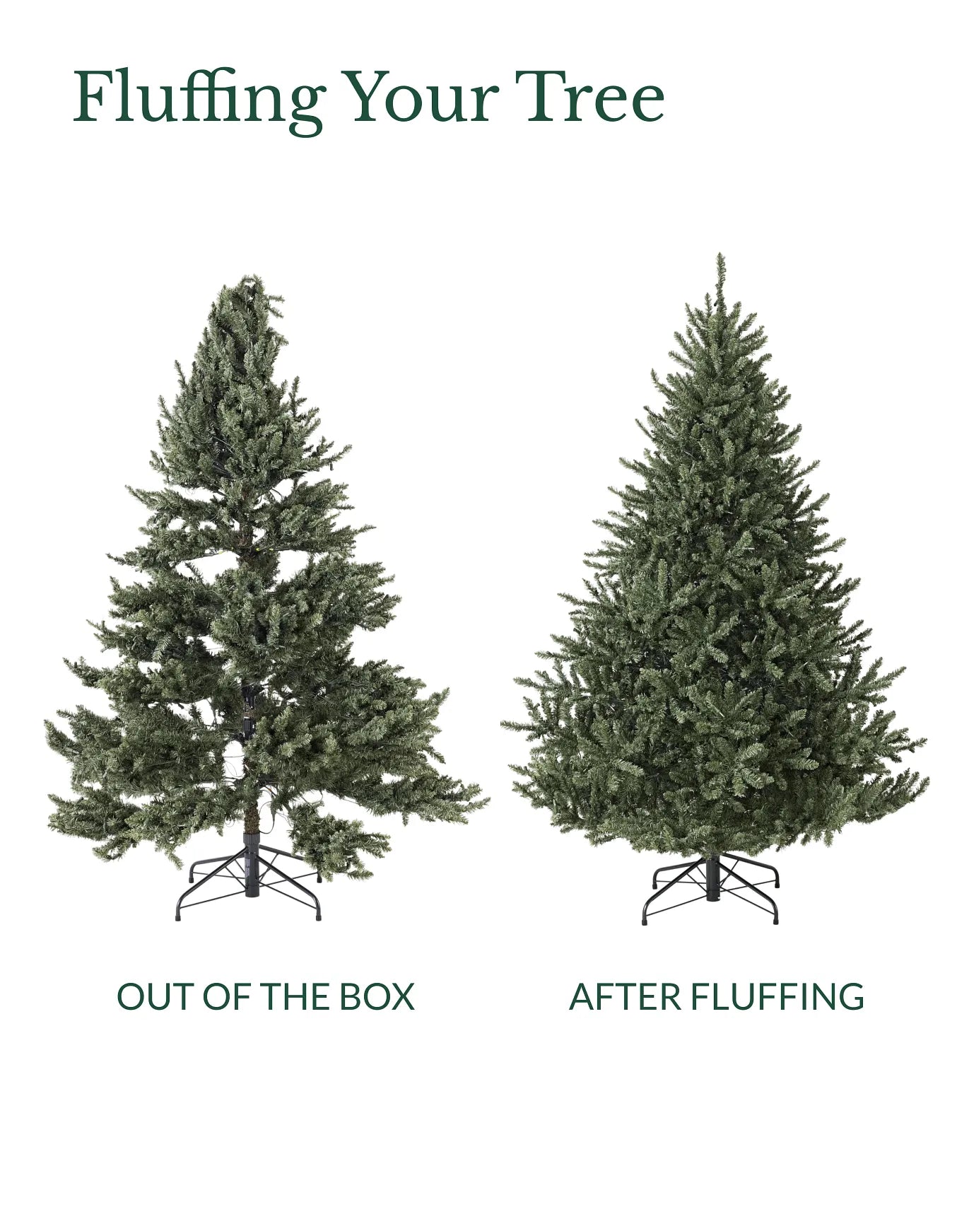 My Furniture Store Canadian Blue Green Spruce Tree 12ft | Direct Furnish