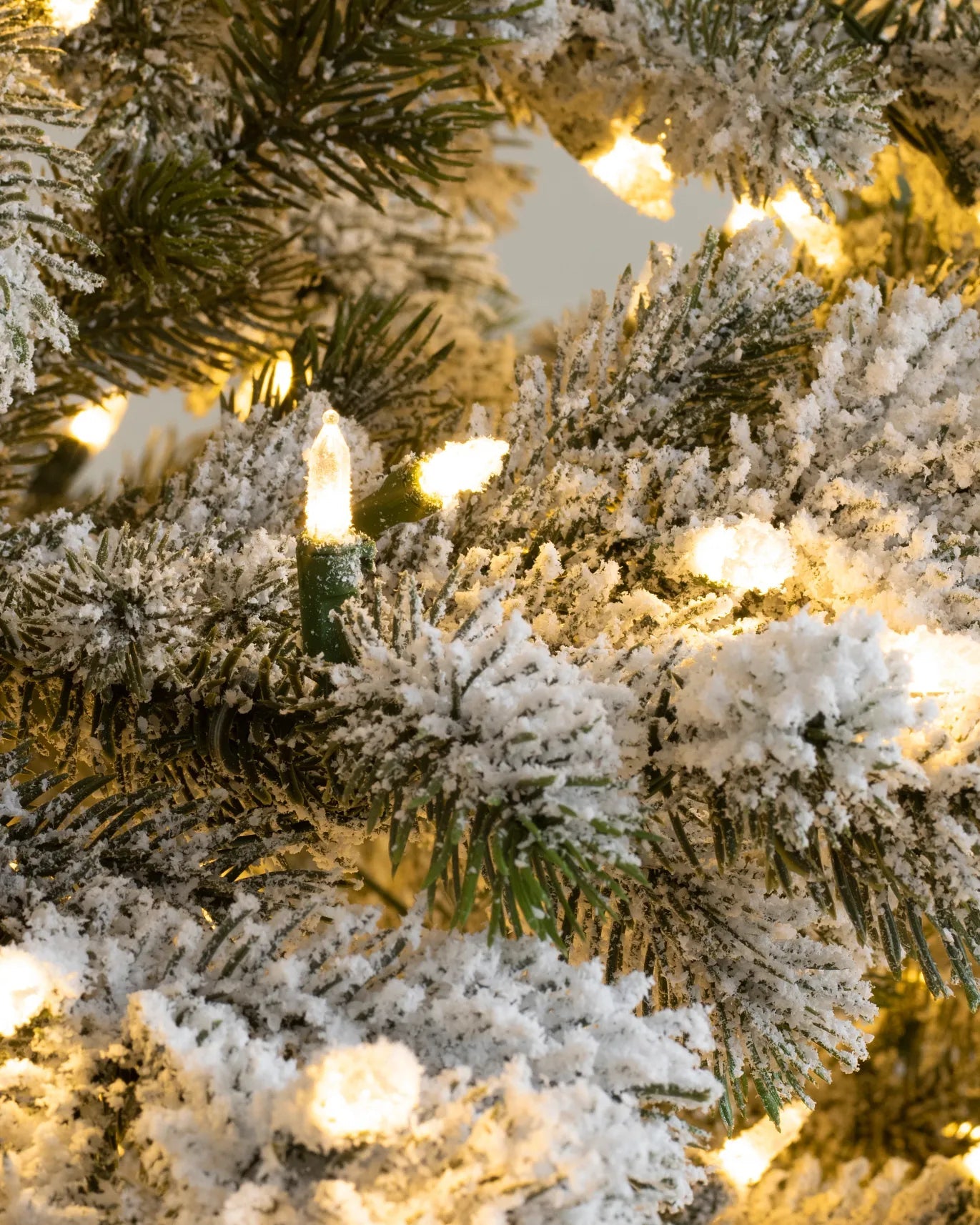 My Furniture Store Frosted Yukon Spruce Trees 9ft | Direct Furnish