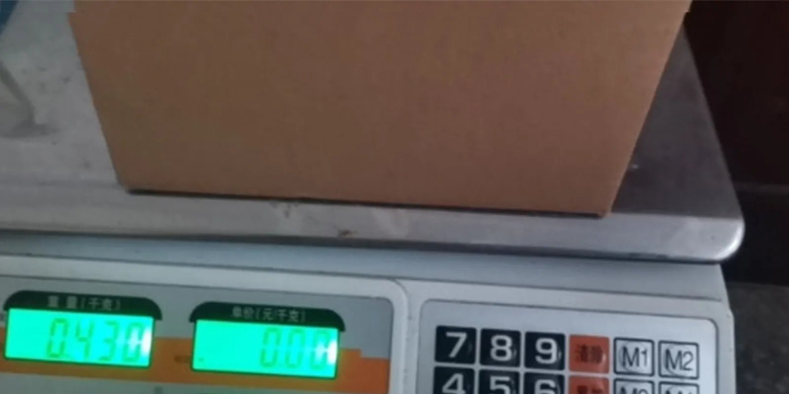 OBA Christmas Front Door Holiday Welcome Garland | Direct Furnish