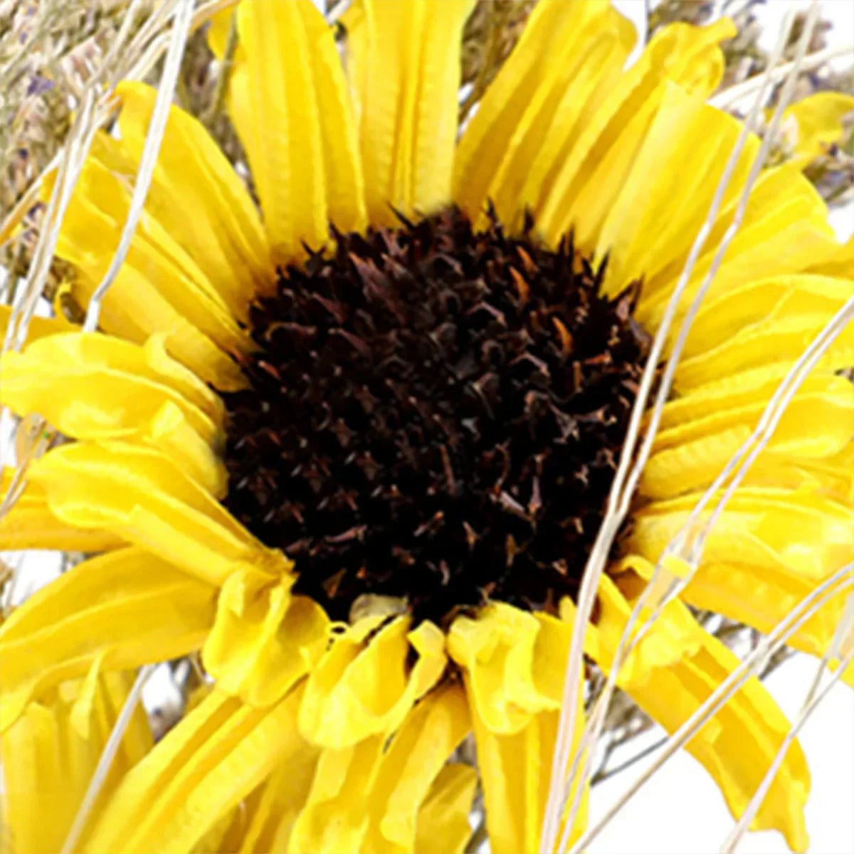 OBA Enchanted Sunflower Lamp | Direct Furnish